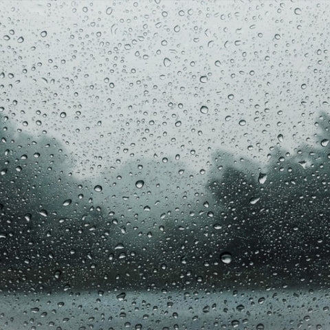 What You Should Know About Seasonal Affective Disorder