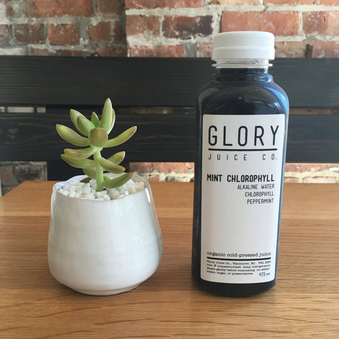 Product Feature / Mint Chlorophyll Alkaline Water