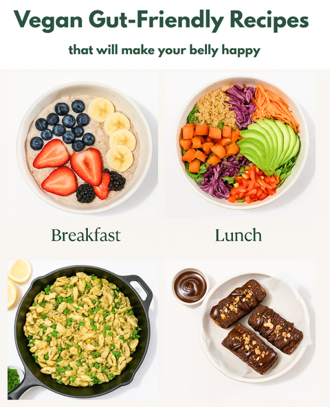 1 Full Day of Gut-Friendly Meals