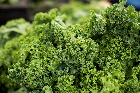 Organic Food’s Most Wanted: Kale Joins the Dirty Dozen